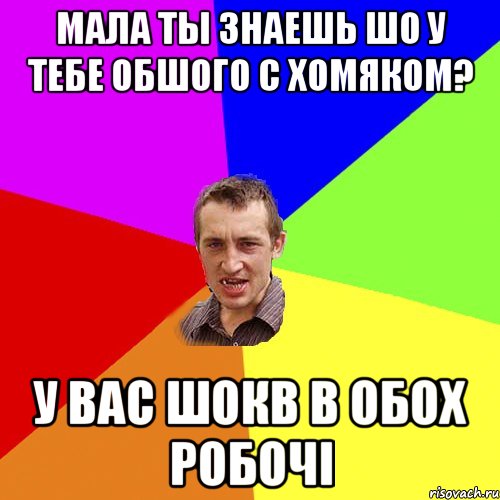 мала ты знаешь шо у тебе обшого с хомяком? у вас шокb в обох робочi, Мем Чоткий паца