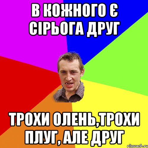 В КОЖНОГО Є СІРЬОГА ДРУГ ТРОХИ ОЛЕНЬ,ТРОХИ ПЛУГ, АЛЕ ДРУГ, Мем Чоткий паца