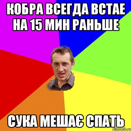 Кобра всегда встае на 15 мин раньше Сука мешає спать, Мем Чоткий паца