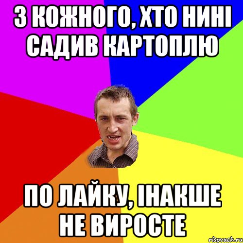 з кожного, хто нині садив картоплю по лайку, інакше не виросте, Мем Чоткий паца