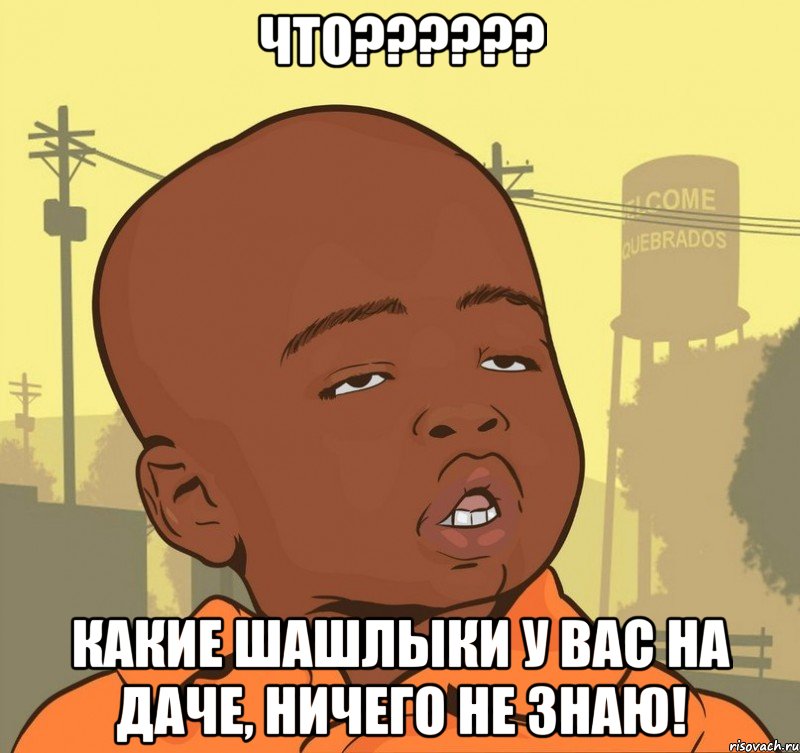 Что?????? Какие шашлыки у Вас на даче, ничего не знаю!, Мем Пацан наркоман