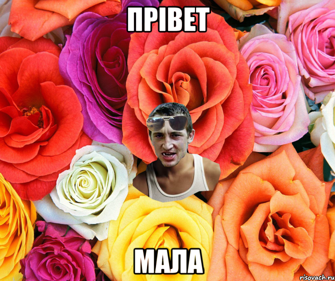 Прівет мала