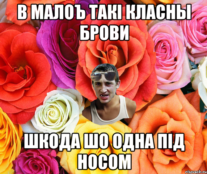 В МАЛОЪ ТАКі КЛАСНЫ БРОВИ ШКОДА ШО ОДНА ПІД НОСОМ, Мем  пацанчо