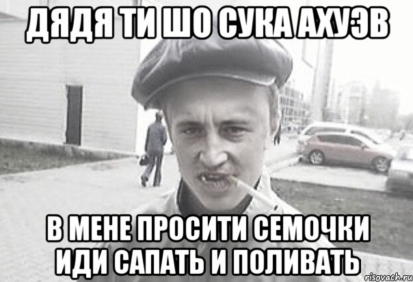 дядя ти шо сука ахуэв в мене просити семочки иди сапать и поливать, Мем Пацанська философия