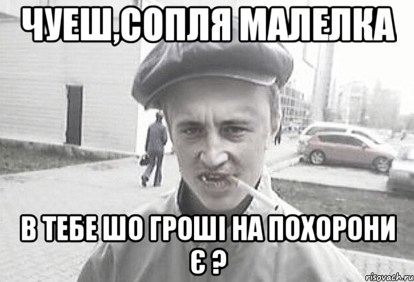 чуеш,сопля малелка в тебе шо гроші на похорони є ?, Мем Пацанська философия