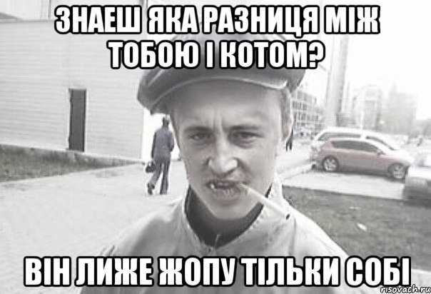 Знаеш яка разниця між тобою і котом? Він лиже жопу тільки собі, Мем Пацанська философия