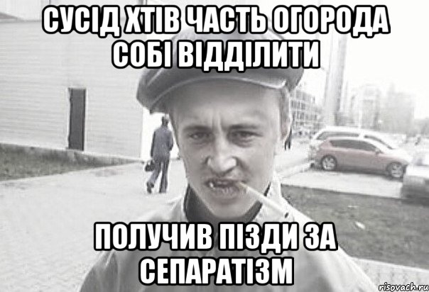 СУСІД ХТІВ ЧАСТЬ ОГОРОДА СОБІ ВІДДІЛИТИ ПОЛУЧИВ ПІЗДИ ЗА СЕПАРАТІЗМ, Мем Пацанська философия