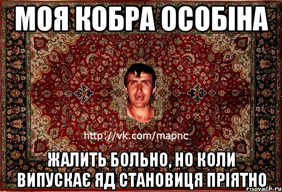 Моя кобра особіна Жалить больно, но коли випускає яд становиця пріятно, Мем Парнь на сел