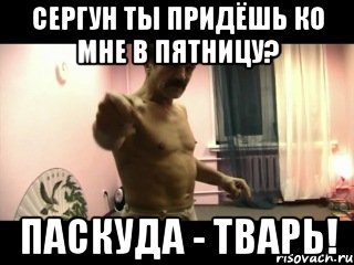 СЕРГУН ТЫ ПРИДЁШЬ КО МНЕ В ПЯТНИЦУ? ПАСКУДА - ТВАРЬ!, Мем Паскуда тварь