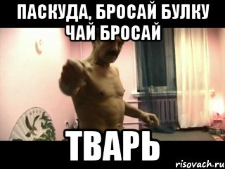 паскуда, бросай булку чай бросай тварь, Мем Паскуда тварь