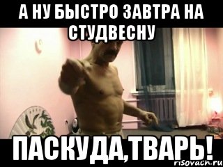 А ну быстро завтра на студвесну ПАСКУДА,ТВАРЬ!, Мем Паскуда тварь