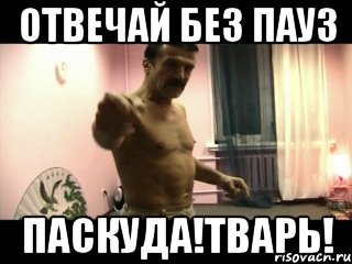 Отвечай без пауз Паскуда!Тварь!, Мем Паскуда тварь