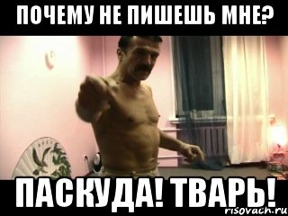 Почему не пишешь мне? Паскуда! Тварь!