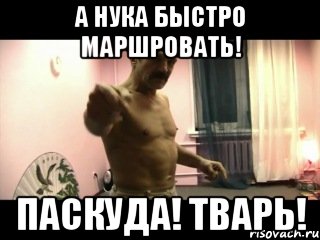 А нука быстро маршровать! Паскуда! Тварь!, Мем Паскуда тварь