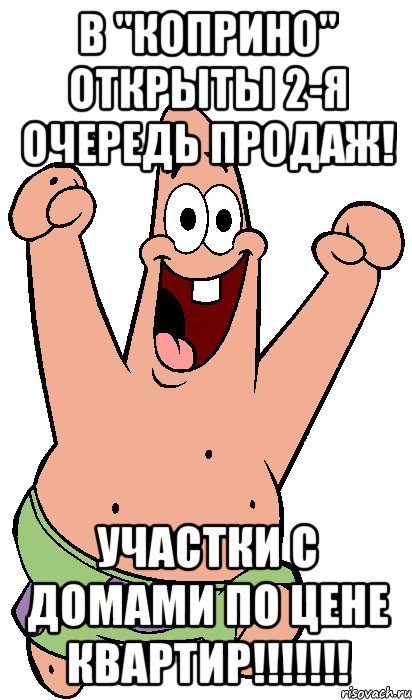 В "Коприно" открыты 2-я очередь продаж! Участки с домами по цене квартир!!!!!!!, Мем Радостный Патрик