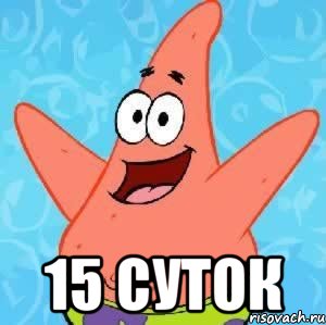  15 суток, Мем Патрик