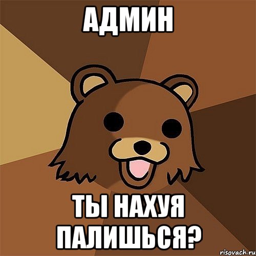 Админ Ты нахуя палишься?