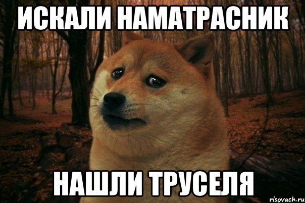 искали наматрасник нашли труселя, Мем SAD DOGE