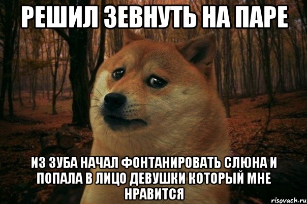 решил зевнуть на паре из зуба начал фонтанировать слюна и попала в лицо девушки который мне нравится, Мем SAD DOGE