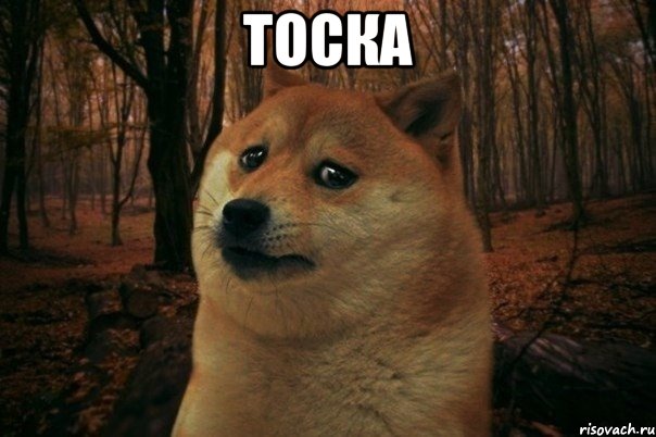 ТОСКА , Мем SAD DOGE