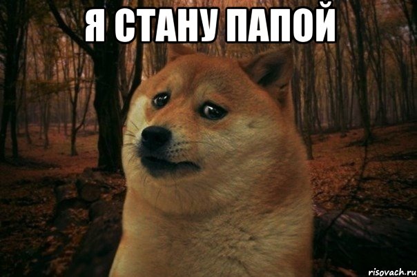 Я СТАНУ ПАПОЙ , Мем SAD DOGE