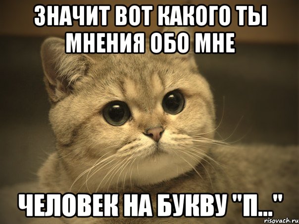 Значит вот какого ты мнения обо мне человек на букву "п...", Мем Пидрила ебаная котик