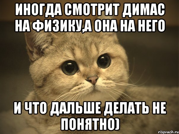 Иногда смотрит Димас на физику,а она на него и что дальше делать не понятно), Мем Пидрила ебаная котик