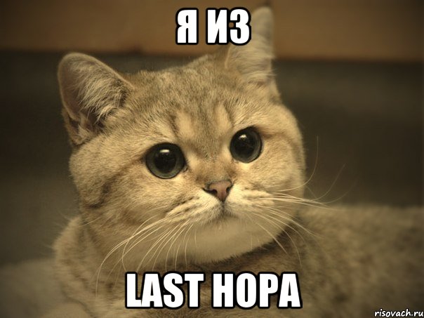 я из Last Hopa, Мем Пидрила ебаная котик