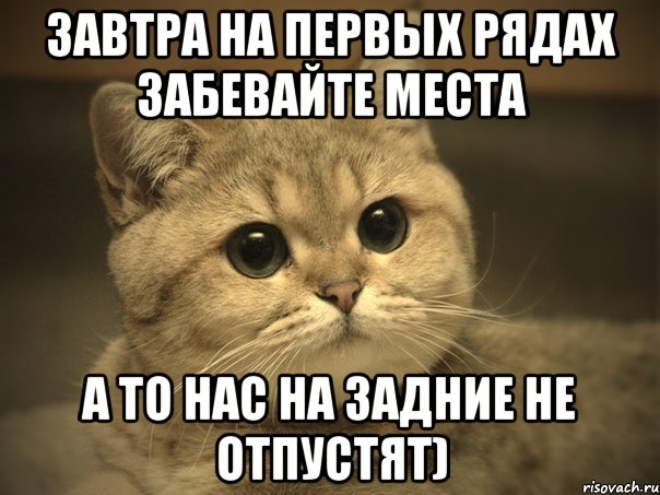 Завтра на первых рядах забевайте места А то нас на задние не отпустят), Мем Пидрила ебаная котик