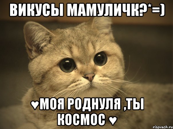 викусы мамуличк?*=) ♥моя роднуля ,ты космос ♥, Мем Пидрила ебаная котик