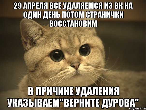 29 апреля все удаляемся из вк на один день потом странички восстановим в причине удаления указываем"верните Дурова", Мем Пидрила ебаная котик