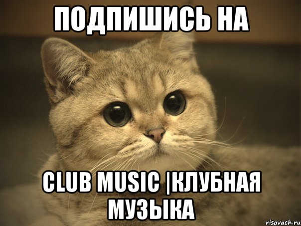 Подпишись на Club music |Клубная музыка, Мем Пидрила ебаная котик