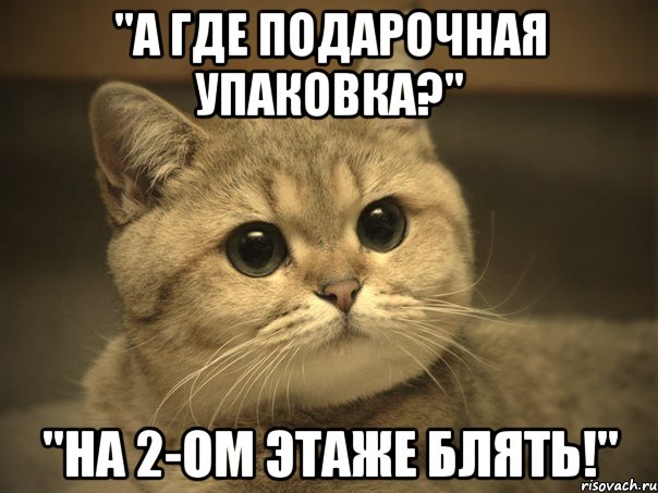 "А где подарочная упаковка?" "На 2-ом этаже блять!", Мем Пидрила ебаная котик