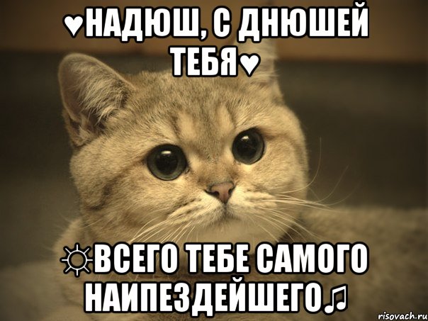 ♥Надюш, с днюшей тебЯ♥ ☼Всего тебе самого наипездейшегО♫, Мем Пидрила ебаная котик