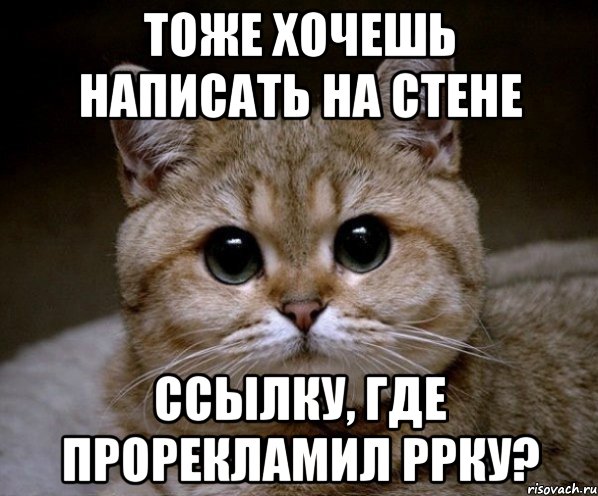 Тоже хочешь написать на стене ссылку, где прорекламил РРку?, Мем Пидрила Ебаная