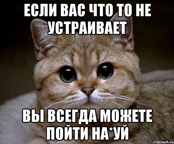 если вас что то не устраивает вы всегда можете пойти на*уй, Мем Пидрила Ебаная