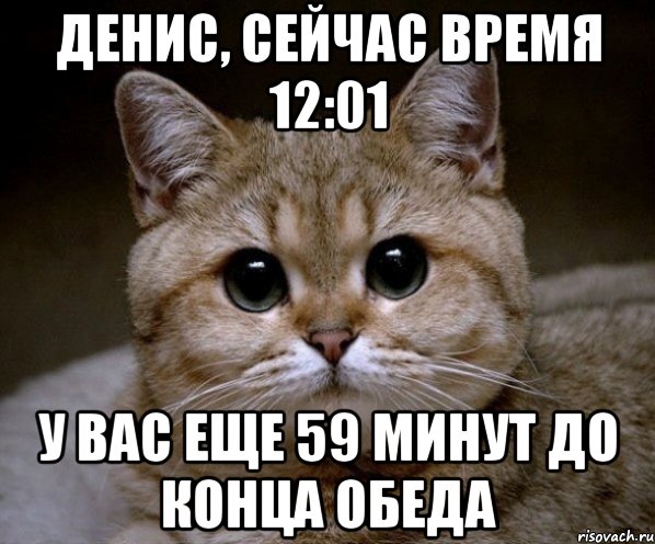 Денис, сейчас время 12:01 у вас еще 59 минут до конца обеда, Мем Пидрила Ебаная