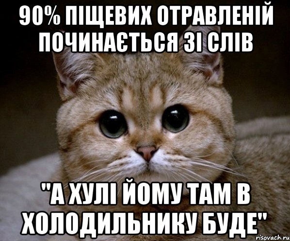 90% піщевих отравленій починається зі слів "а хулі йому там в холодильнику буде", Мем Пидрила Ебаная