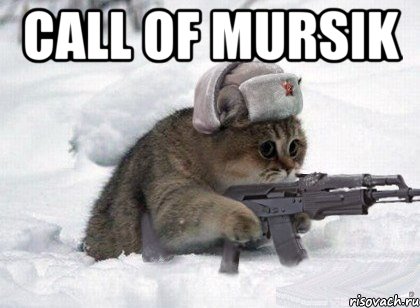 call of Mursik , Мем Пидрилы ебаные