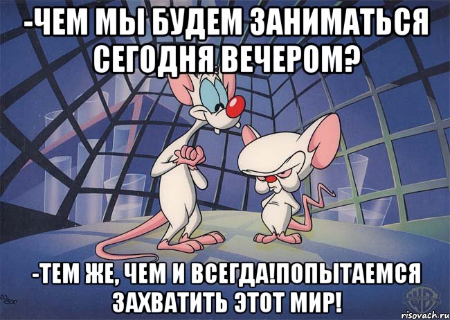 -Чем мы будем заниматься сегодня вечером? -Тем же, чем и всегда!Попытаемся захватить этот мир!, Мем ПИНКИ И БРЕЙН