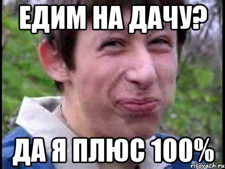 Едим на дачу? Да я плюс 100%, Мем  Пиздун