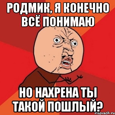 Родмик, я конечно всё понимаю Но нахрена ты такой пошлый?, Мем Почему