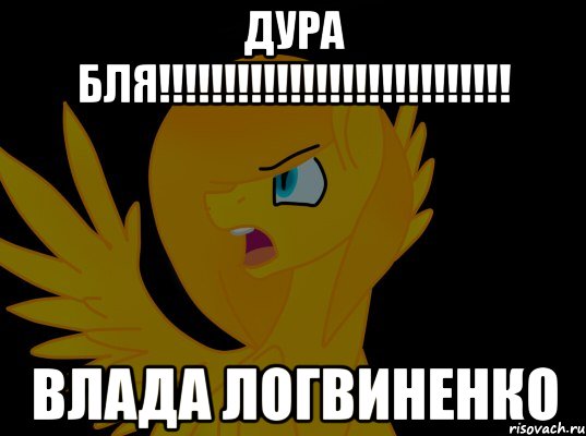 ДУРА БЛЯ!!!!!!!!!!!!!!!!!!!!!!!!!!! ВЛАДА ЛОГВИНЕНКО, Мем  Пони1