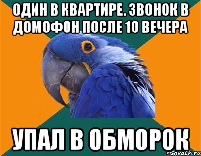 ОДИН В КВАРТИРЕ. ЗВОНОК В ДОМОФОН ПОСЛЕ 10 ВЕЧЕРА УПАЛ В ОБМОРОК, Мем Попугай параноик