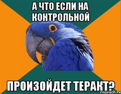 а что если на контрольной произойдет теракт?, Мем Попугай параноик