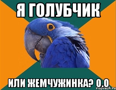 Я Голубчик или Жемчужинка? О.О, Мем Попугай параноик