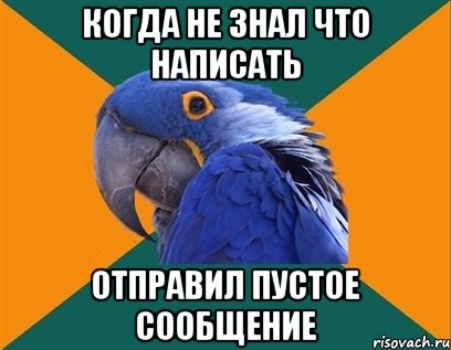 когда не знал что написать отправил пустое сообщение, Мем Попугай параноик