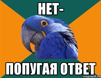 Нет- Попугая ответ