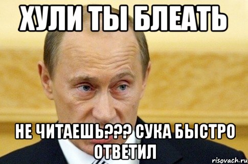 Хули ты блеать Не читаешь??? Сука быстро ответил, Мем путин