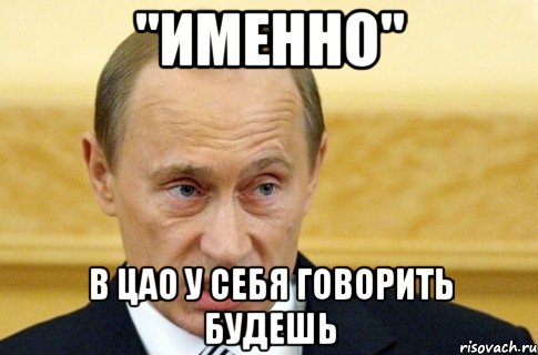 "Именно" В ЦАО у себя говорить будешь, Мем путин